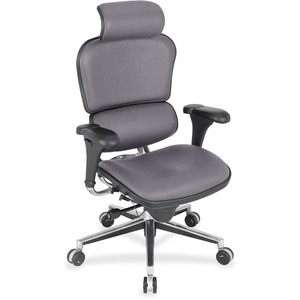 Eurotech Ergohuman Leather Executive Chair - Carbon Fabric, Leather, Vinyl Seat - Carbon Vinyl, Fabric, Leather Back - High Back - 5-star Base - 1 Each