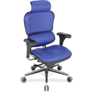 Eurotech Ergohuman Leather Executive Chair - Cobalt Fabric, Leather Seat - Cobalt Fabric, Leather Back - High Back - 5-star Base - 1 Each