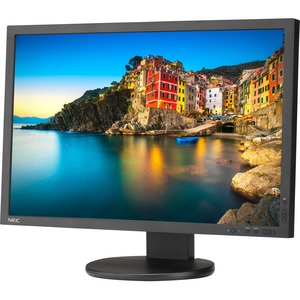 NEC Display Professional P243W-BK WUXGA LCD Monitor - 16:10 - Black