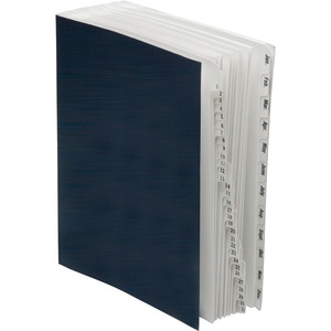 SKILCRAFT%C2%AE+Daily%2FMonthly+Expanding+Desk+File+Sorter+-+Desktop+-+30%25+Recycled+-+Acrylic+-+1+Each