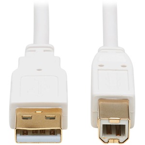 Tripp Lite by Eaton Safe-IT USB-A to USB-B Antibacterial Cable (M/M), USB 2.0, White, 10 ft.