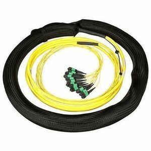 Panduit QuickNet Indoor/Outdoor MTP Female Trunk Cable Assembly, High Fiber Count