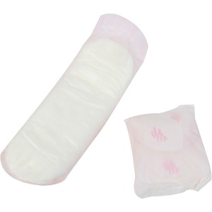 Hospeco+Regular+Maxi+Pads+-+Maxi+-+Comfortable%2C+Individually+Wrapped%2F+-+1+Carton