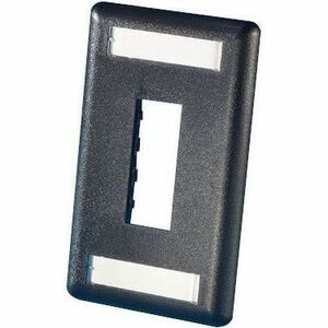 Ortronics Tracjack Faceplate, Two-Port (Single Gang), Plastic
