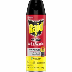 Raid+Ant+%26+Roach+Killer+Spray+-+Spray+-+Kills+Ants%2C+Cockroaches%2C+Silverfish%2C+Water+Bugs%2C+Palmetto+Bug%2C+Carpet+Beetle%2C+Earwig%2C+Spider%2C+Lady+Beetle%2C+Black+Widow+Spider%2C+Crickets%2C+...+-+17.50+fl+oz+-+Red+-+1+Each