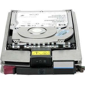 HPE Sourcing 300 GB SAN Hard Drive - 1" Internal - Fibre Channel