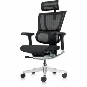 Eurotech+Ergohuman+Xtreme+Executive+Chair+-+Mesh+Back+-+High+Back+-+5-star+Base+-+Black+-+Armrest+-+1+Each