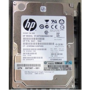 HPE Sourcing 300 GB Hard Drive - 2.5" Internal - SAS (6Gb/s SAS)