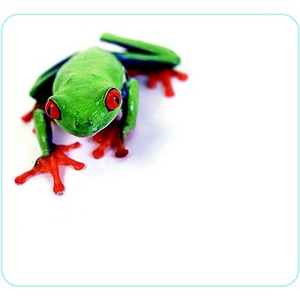 Allsop Tree Frog Mouse Pad - Tree Frog - 0.10" x 8.50" Dimension - Natural Rubber, Latex - Anti-skid