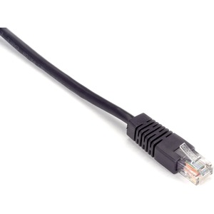 Black+Box+Cat.+5E+UTP+Patch+Cable+-+RJ-45+Male+-+RJ-45+Male+-+1ft+-+Purple