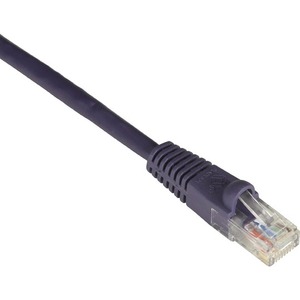 Black+Box+GigaTrue+Cat.+6+Component+UTP+Patch+Cable+-+RJ-45+Male+-+RJ-45+Male+-+20ft+-+Purple