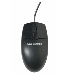Keytronic 2MOUSEU2L USB Optical Scroll Wheel Mouse - Optical - USB - OEM