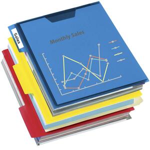 Esselte 1/3 Tab Cut Letter Top Tab File Folder