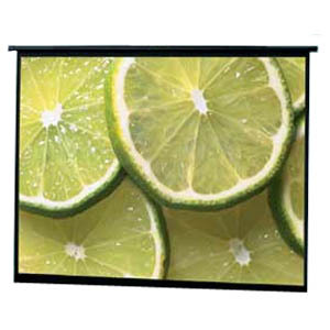 Draper Traveller Portable Projection Screen - 43.5" x 58" - High Contrast Gray - 72" Diagonal