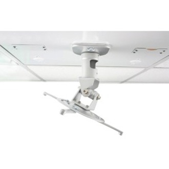 Amer Mounts Universal Drop Ceiling Projector Mount Replaces A 2 X2 Ceiling Tile Holds Up To 30 Lbs