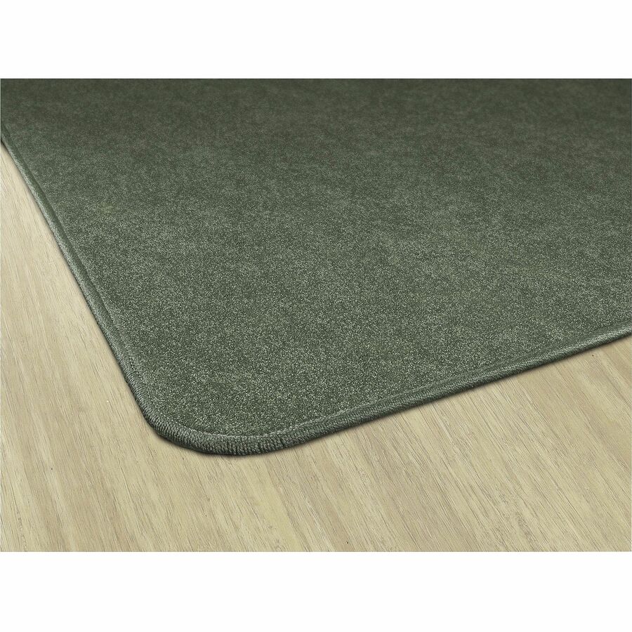 Picture of Flagship Carpets Amerisoft Solid Color Rug