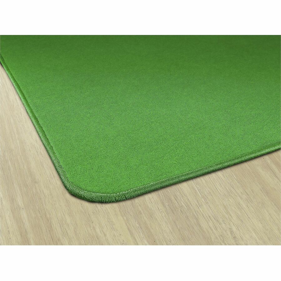 Picture of Flagship Carpets Ameristrong Solid Color Rug