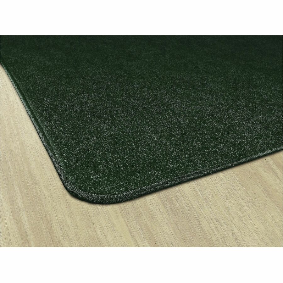 Picture of Flagship Carpets Amerisoft Solid Color Rug
