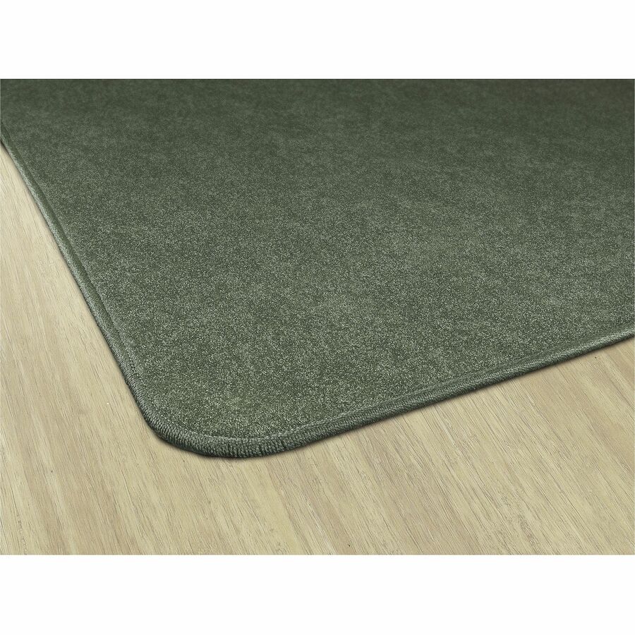 Picture of Flagship Carpets Amerisoft Solid Color Rug