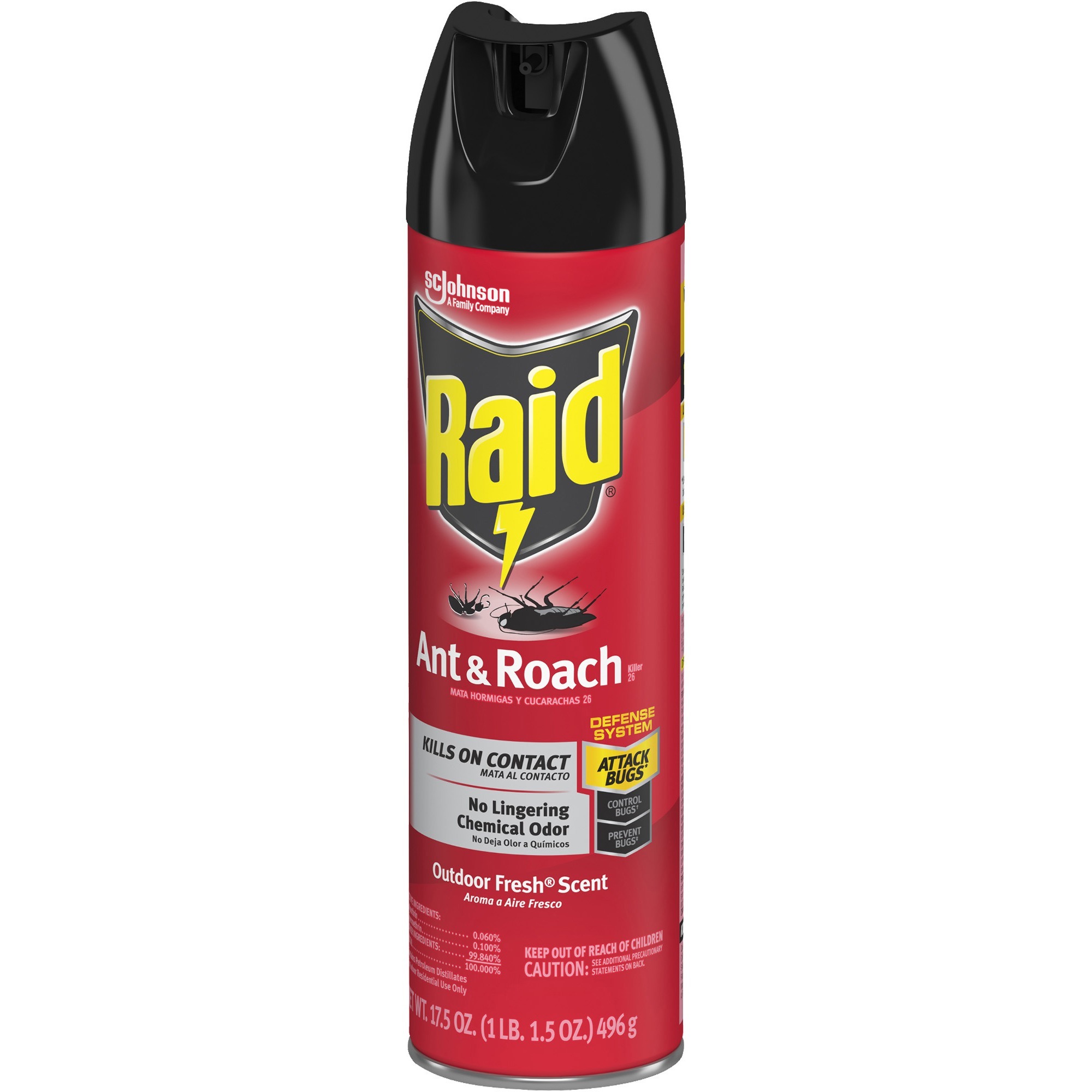 raid-ant-roach-killer-spray-sjn669798