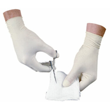 Picture of ProGuard Disposable Latex Powder Free Exam (Non-sterile)