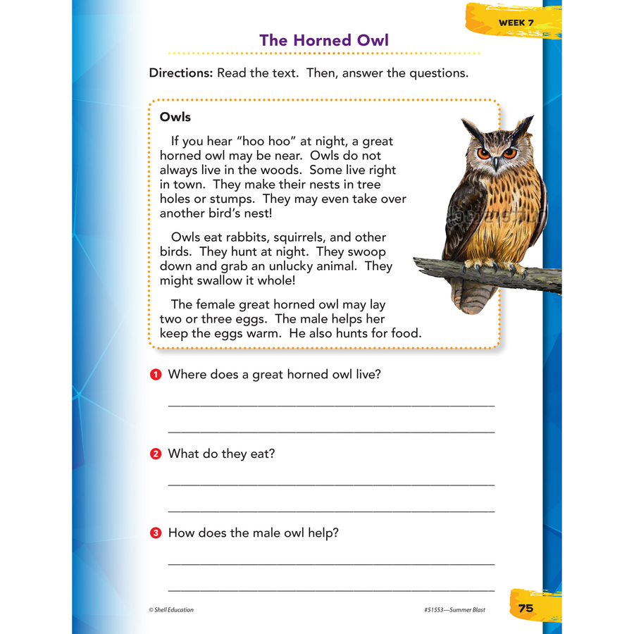 Picture of Shell Education Home Summer Grade Level Book Set Printed Book