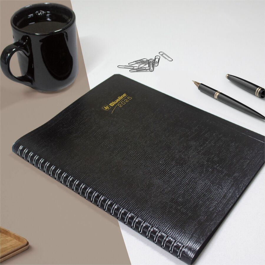 Picture of Blueline Plan and Link 16-Month Monthly Planner