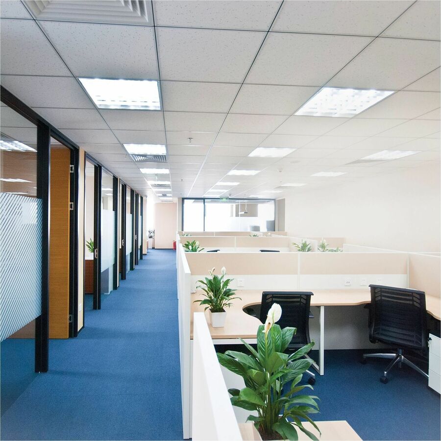 Picture of Type-A T8 LED Tube, 10 W, 1800 lm, T8, G13 Base, 6500K, 50k hrs, 25/CT