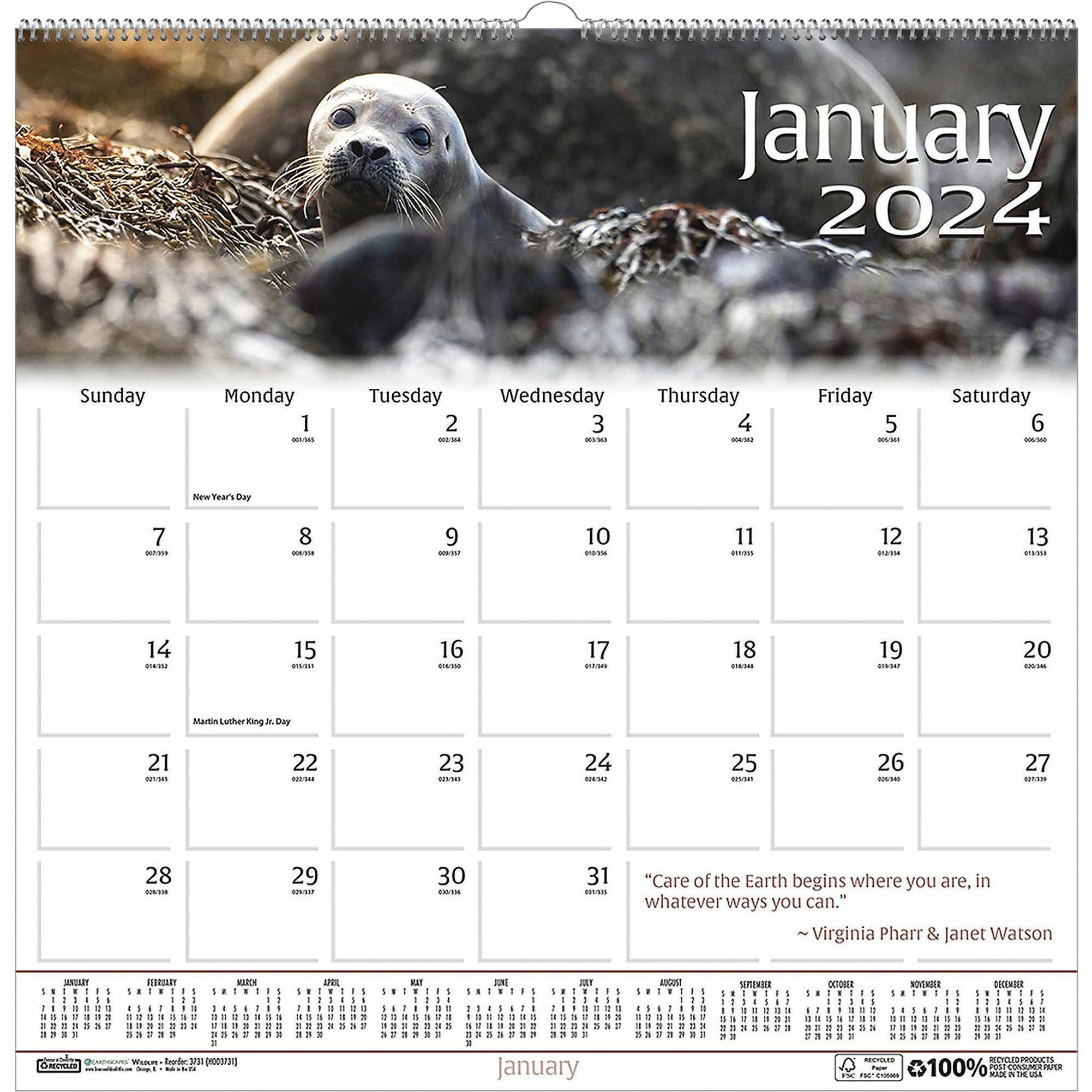 house-of-doolittle-earthscapes-wildlife-wall-calendars-calendars-refills-house-of-doolittle