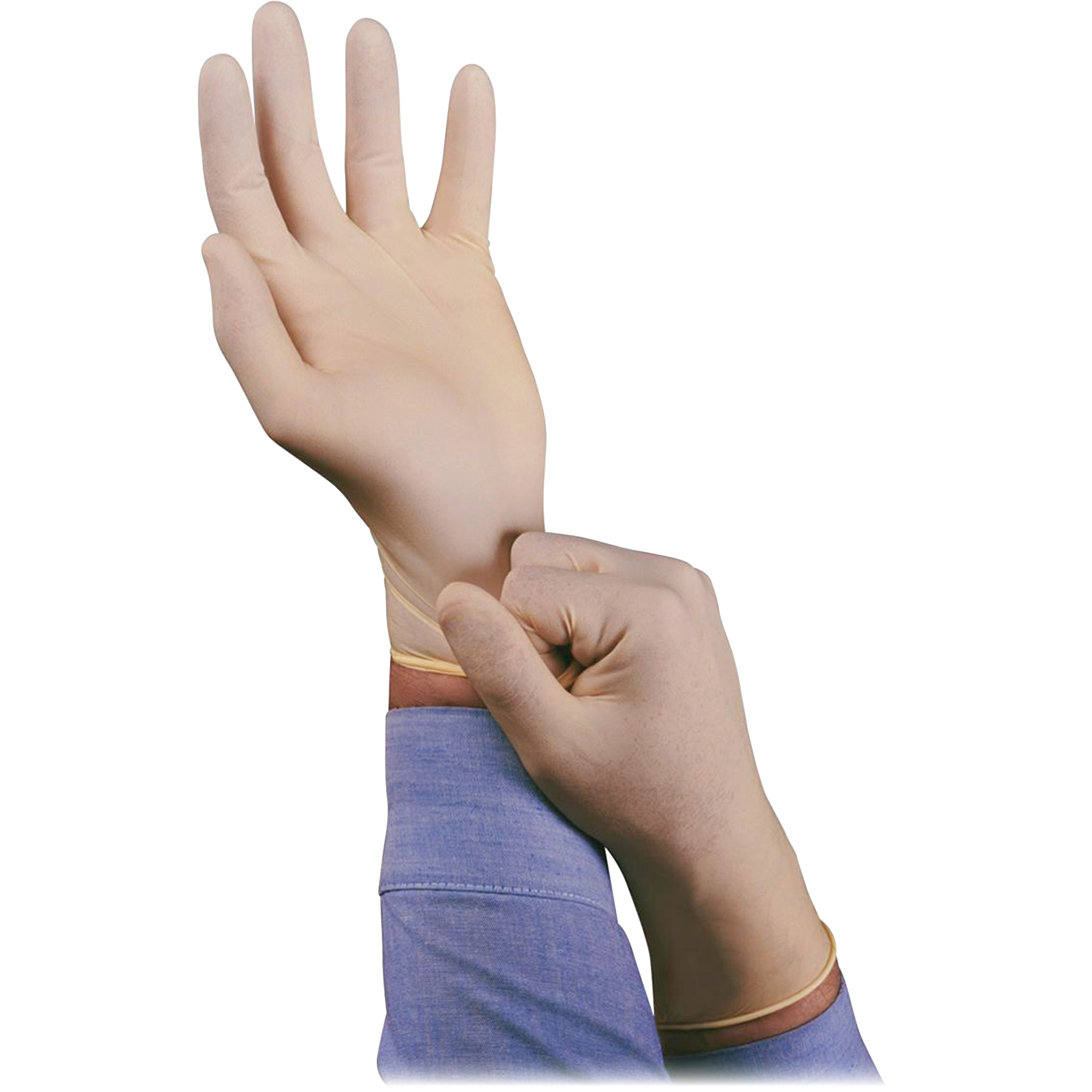 Ansell Health Powderfree Latex Exam Gloves Blaisdell's Business Products