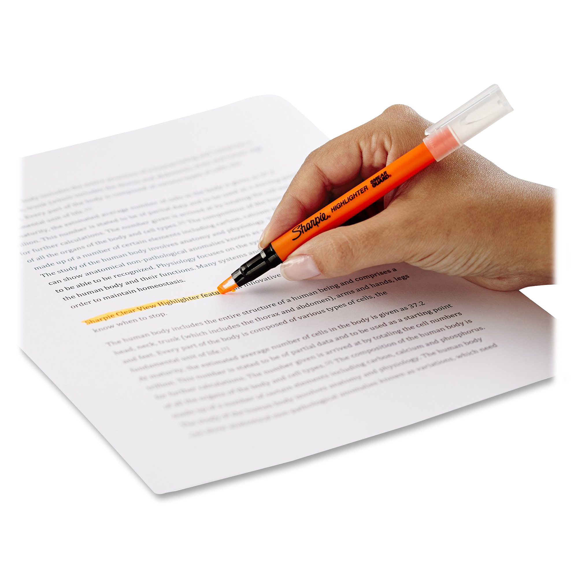 Sharpie Clear View Highlighter | Sandia Office Supply