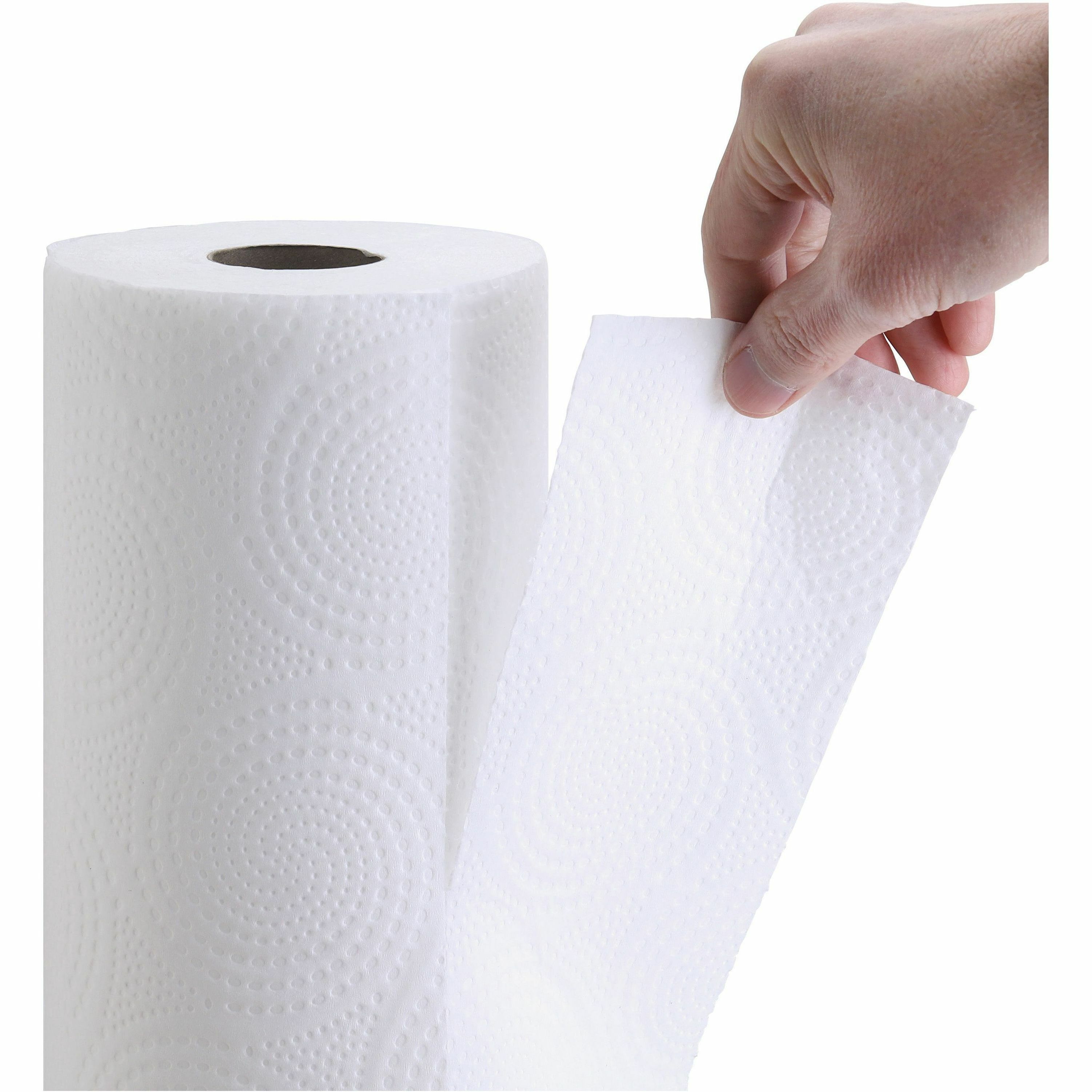 Natural 100% Recycled 2-Ply Paper Towel Roll (250-Sheets per Roll, 12-Rolls  per Pack)