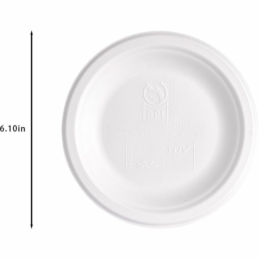 Picture of BPI Certified Compostable Paper Plate, 6, White, Sugarcane Paper, Microwave Safe, 1 BX/CT, 1 BX/CT