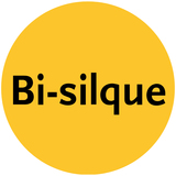 Bi-silque S.A