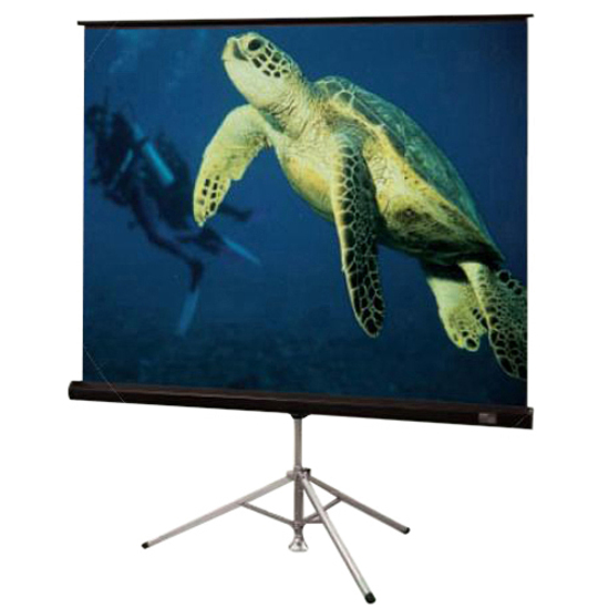 DIPLOMAT/R WITH BLACK CARPETED CASE, 96 X 96, AV, MATT WHITE XT1000E