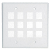 2G WALL PLATE 12-PORT WH (M5)