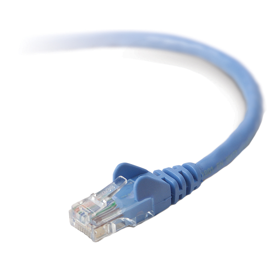 3' Cat6 Patch Blue