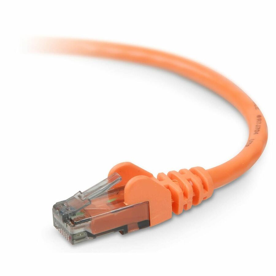 CAT6 Patch CBL RJ45 MM