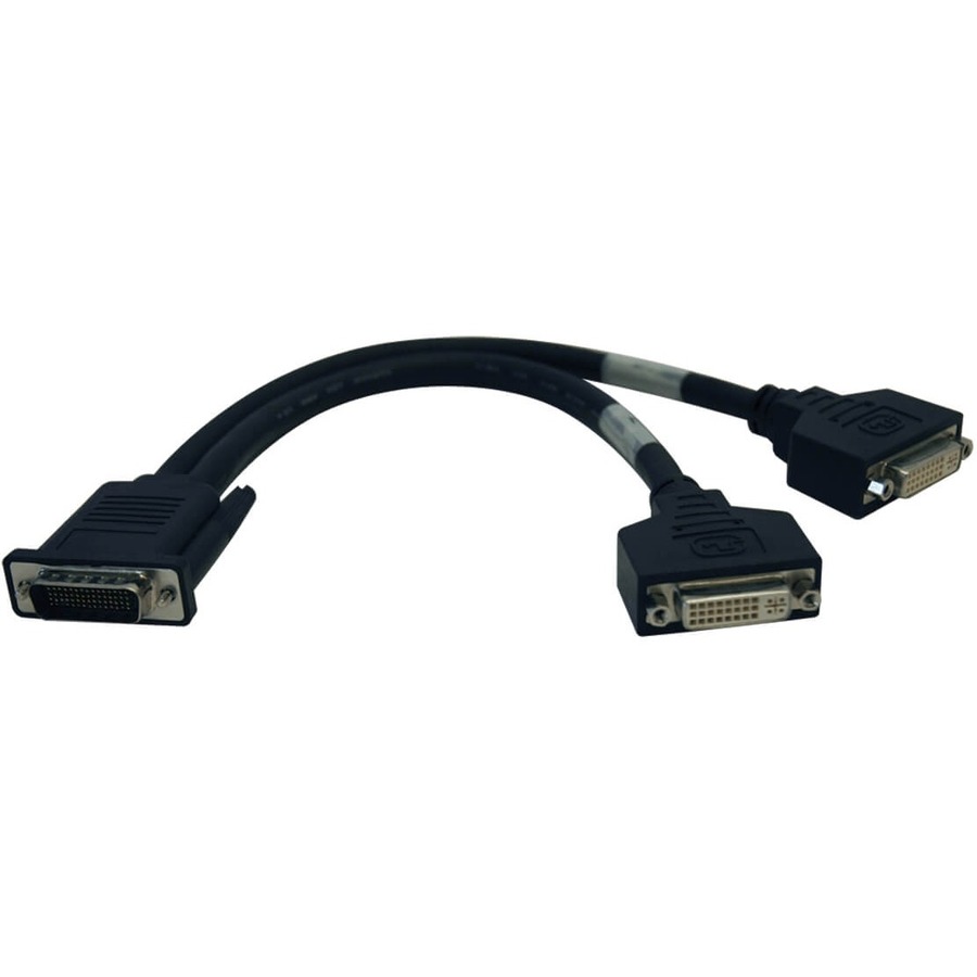 Tripp Lite - Câble séparateur DMS-59 vers 2 x DVI-I F - DMS-59 mâle Vidéo numérique - DVI-I (Dual-Link) Femelle Vidéo numérique (Noir) - 1 pied (P576-001)