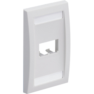 FACEPLATE 2PT SGL GANG EXEC ELECTRC IVRY