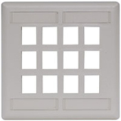 PLATE, WALL,FLUSH,2-G,12PORT,OW