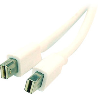 10 FT MINI DISPLAYPORT MALE TO MALE VIDEO