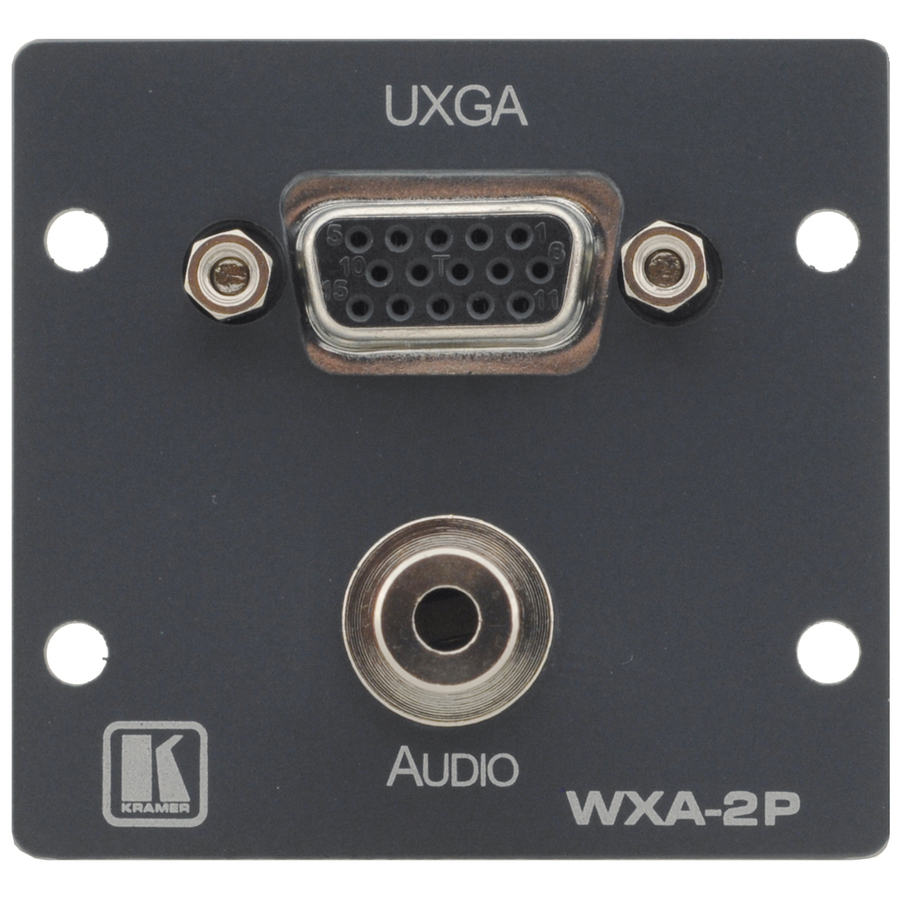 COMPUTER GRAPHICS VIDEO & STEREO AUDIO WALL PLATE INSERT.
