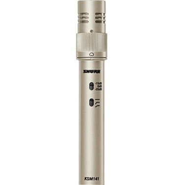 SMALL-DIAPHRAGM, END-ADDRESS CONDENSER MICROPHONE FOR PROFESSIONAL RECORDING AND