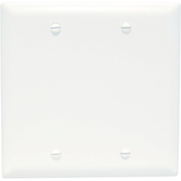 2GANGBLANKWALLPLATE,WHITE
