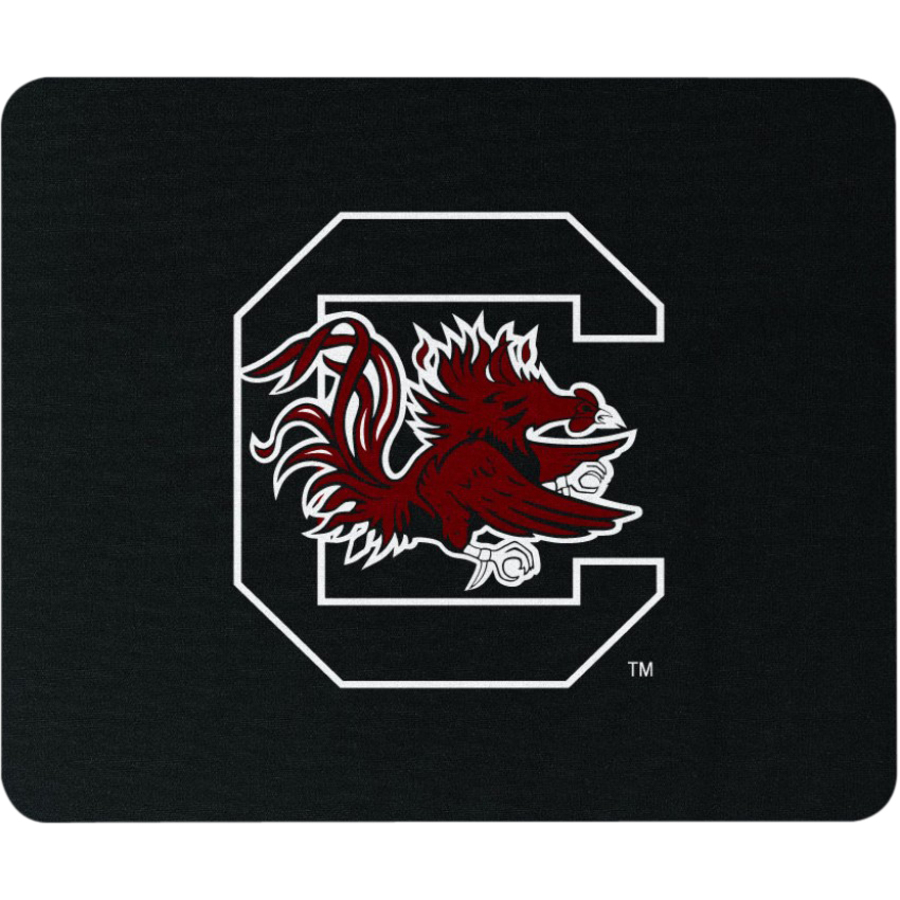 UNIVERSITY OF SOUTH CAROLINA EDITION ACCESSORY.