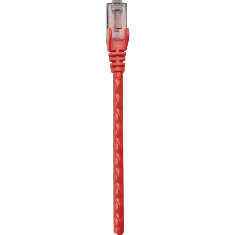 Intellinet Patch Cable CAT6 Utp Red 1ft Snagless Boot