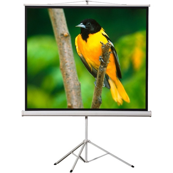 EluneVision Tripod Projection Screen - 100"