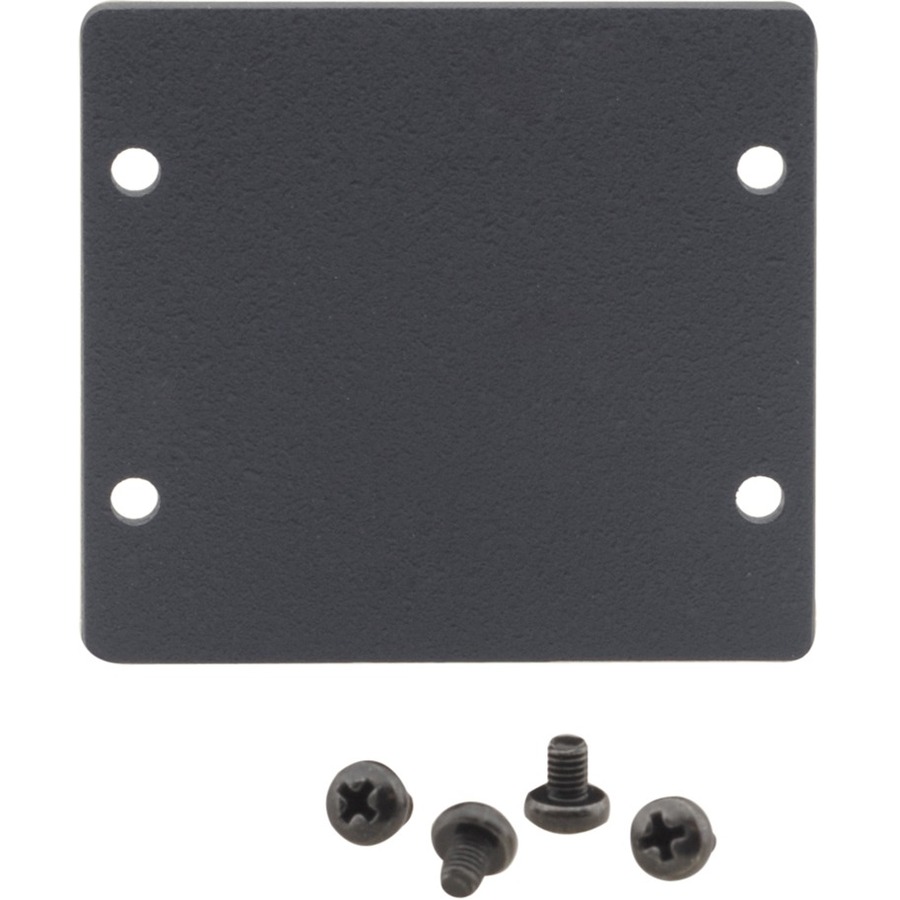 WALL PLATE INSERT DOUBLE BLANK SLOT