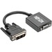 Tripp Lite DVI-D to VGA Active Adapter Converter Cable video converter - black (P120-06N-ACT)